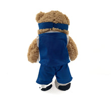 Load image into Gallery viewer, NBA knicks teddy
