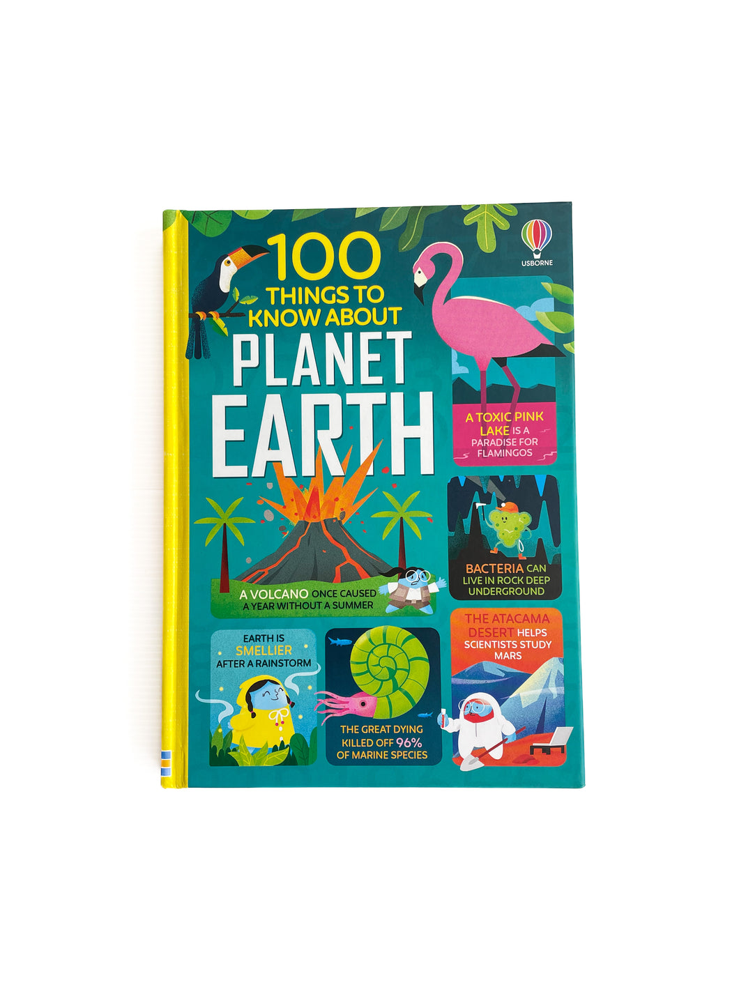 Usborne 100 things to know about planet earth book
