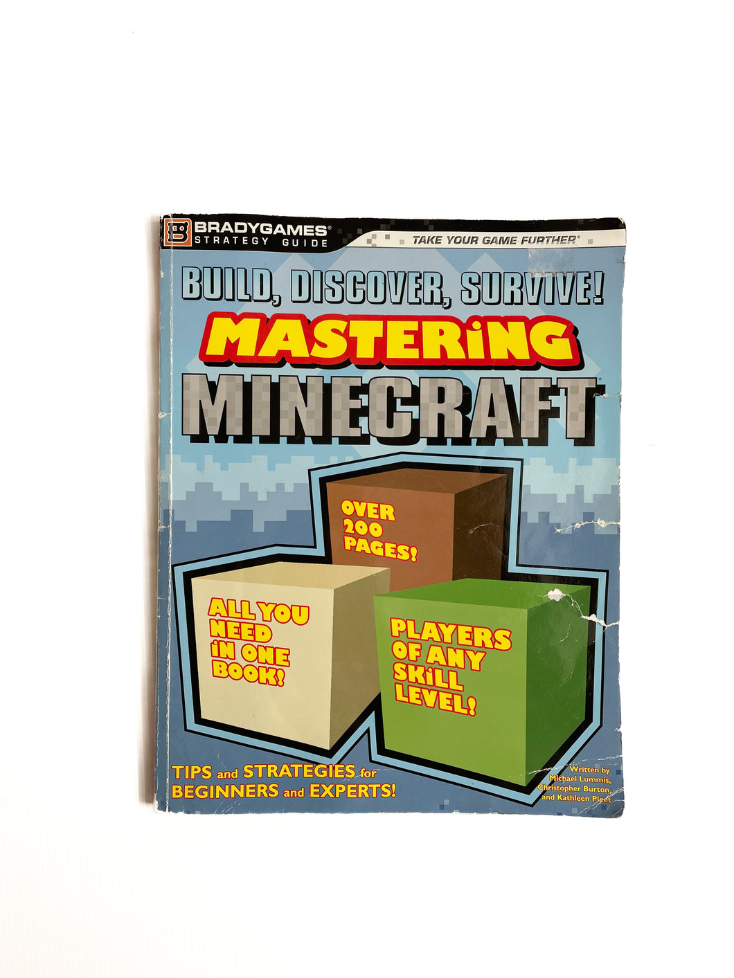 Mastering minecraft magazine