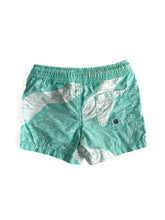 Load image into Gallery viewer, Country road board shorts (6-12M)

