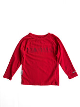 Load image into Gallery viewer, Ice breaker merino long sleeve (2Y)
