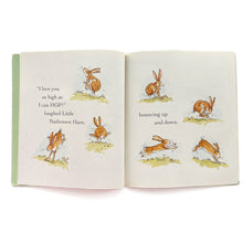 Load image into Gallery viewer, Guess how much I love you book &amp;dvd
