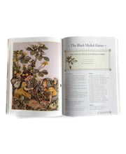 Load image into Gallery viewer, Cicley Mary barker Flower fairies ribbon embroidery and stamp work

