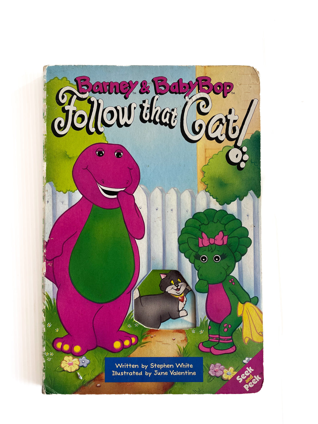 Vintage Barney & baby bop follow that cat book