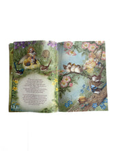 Load image into Gallery viewer, 1998 Shirley barber rainbow magic book
