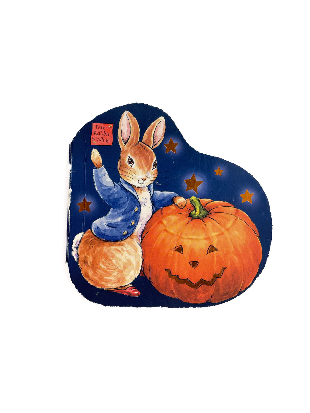 Peter rabbit Halloween board book