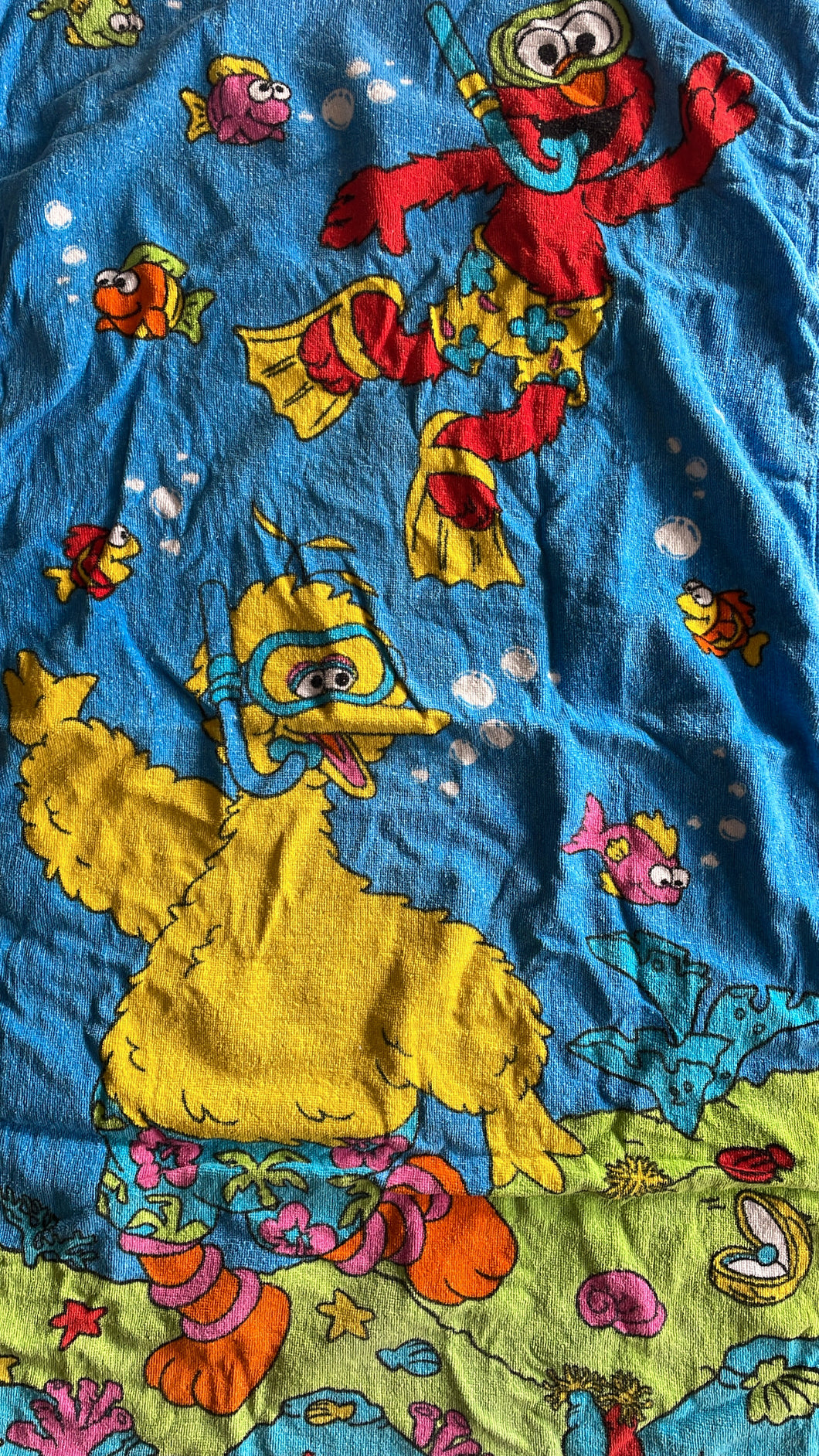 Sesame Street towel
