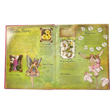 Load image into Gallery viewer, A field guide to fairies book
