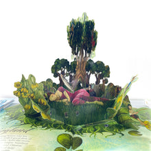 Load image into Gallery viewer, A field guide to fairies book
