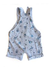 Load image into Gallery viewer, Peter rabbit shortalls (6-9M)
