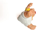 Load image into Gallery viewer, The Sinclairs Dinosaurs
