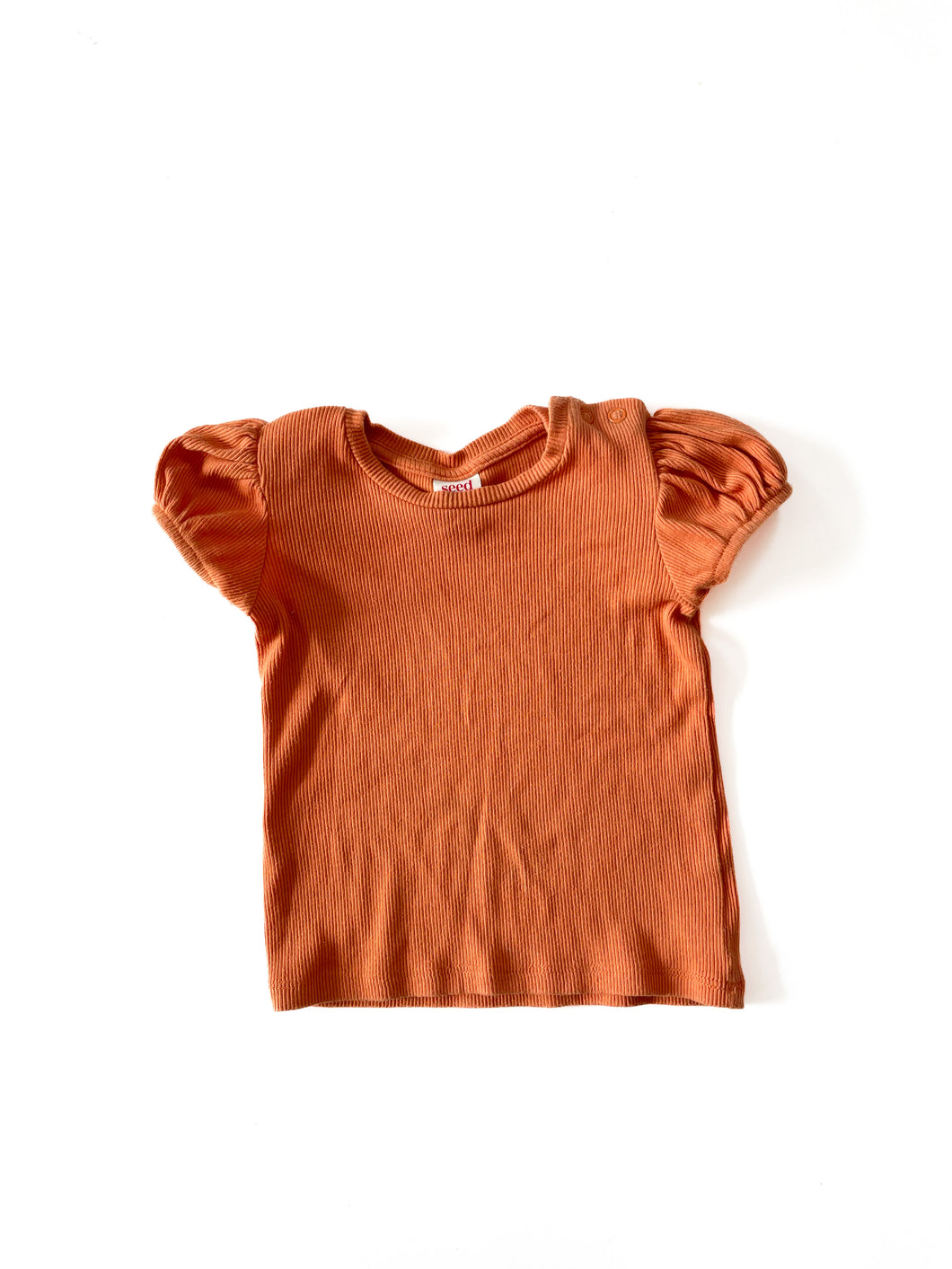 Seed ribbed T-shirt (1Y)