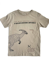 Load image into Gallery viewer, Cotton on T-shirt (9-10Y)
