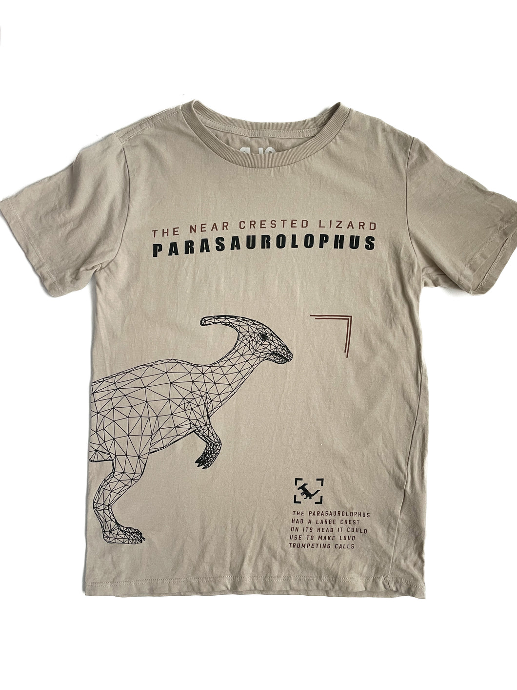 Cotton on T-shirt (9-10Y)