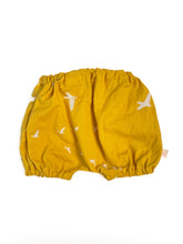 Load image into Gallery viewer, Chilli bean Bloomers (3-6m)
