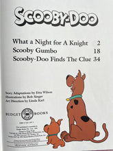 Load image into Gallery viewer, Vintage Scooby doo book
